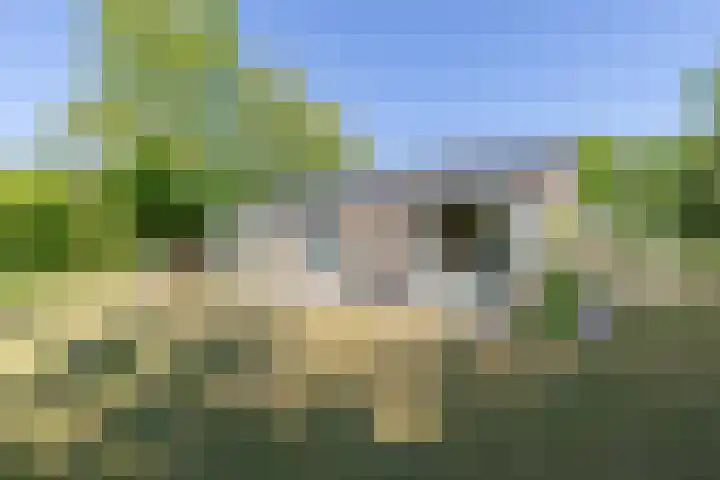Robbenoort 131 Lauwersoog thumbnail 6