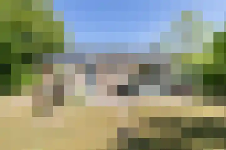 Robbenoort 131 Lauwersoog thumbnail 7