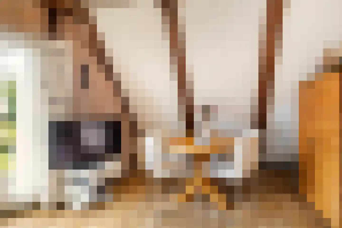 Robbenoort 24 Lauwersoog thumbnail 21