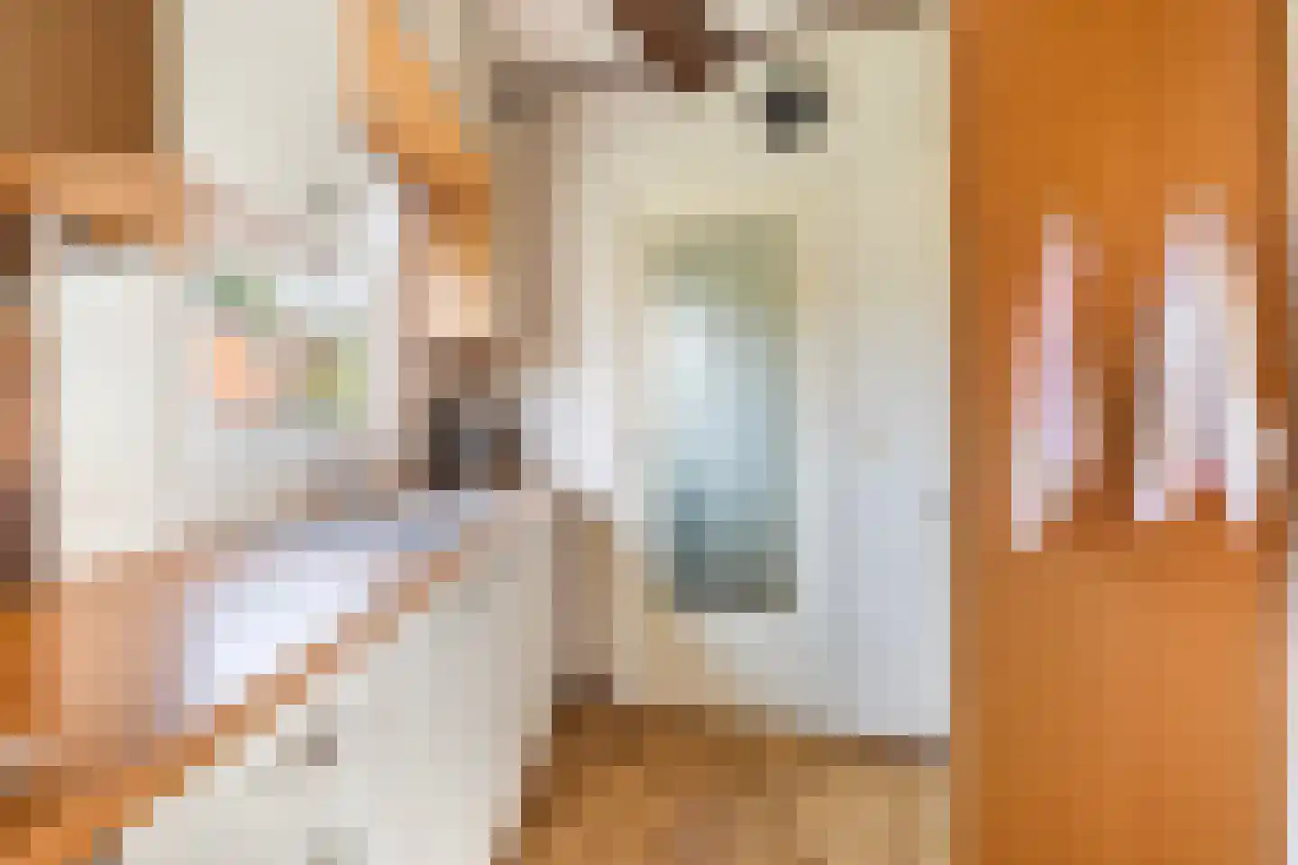 Robbenoort 24 Lauwersoog thumbnail 24