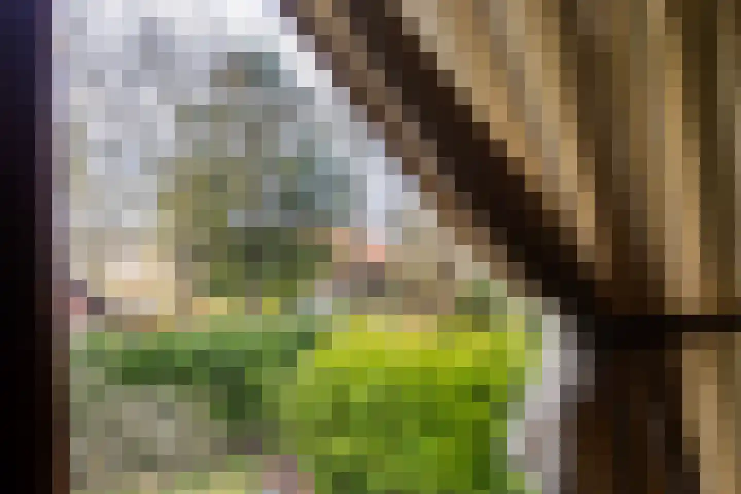 Robbenoort 24 Lauwersoog thumbnail 33