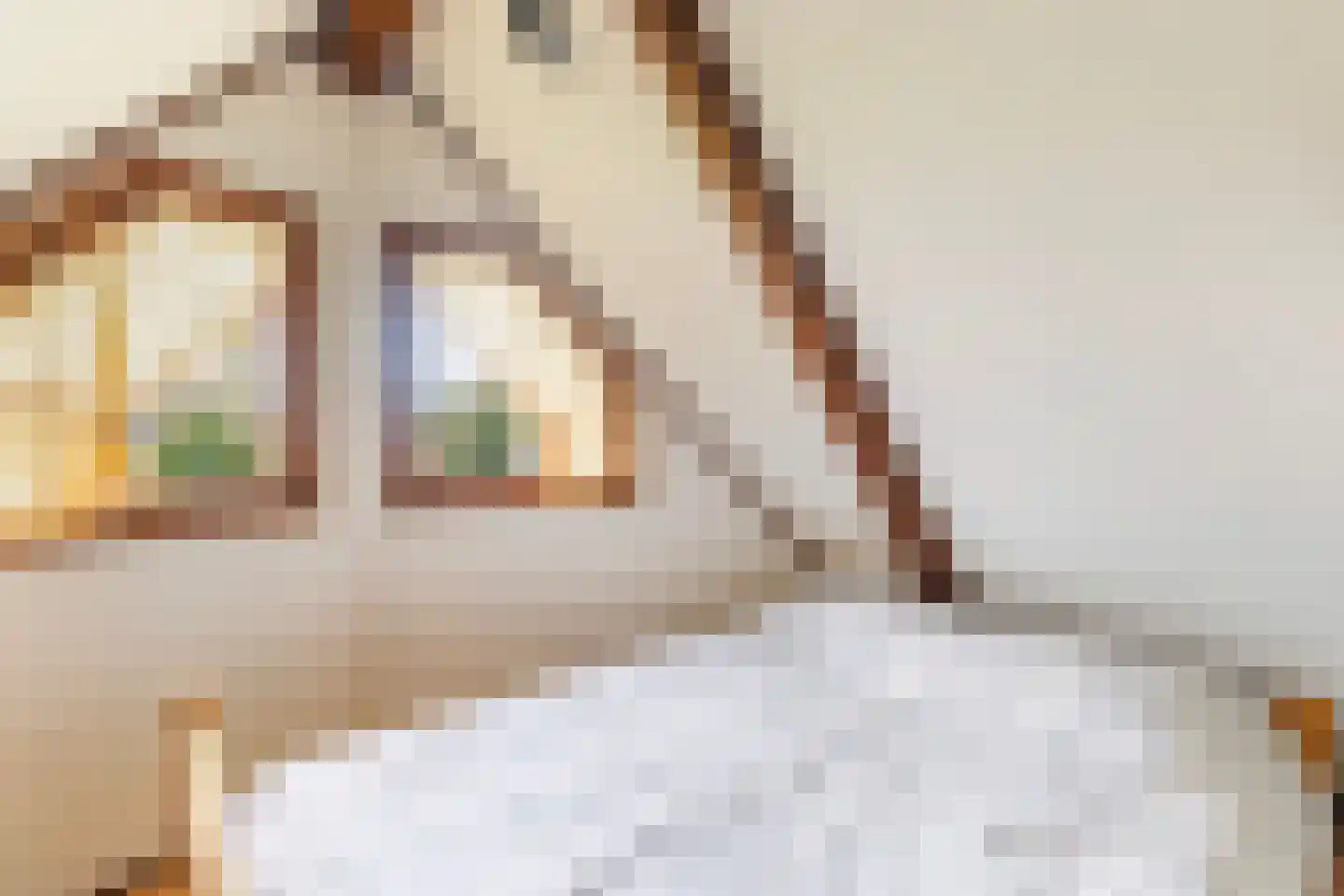 Robbenoort 24 Lauwersoog thumbnail 34
