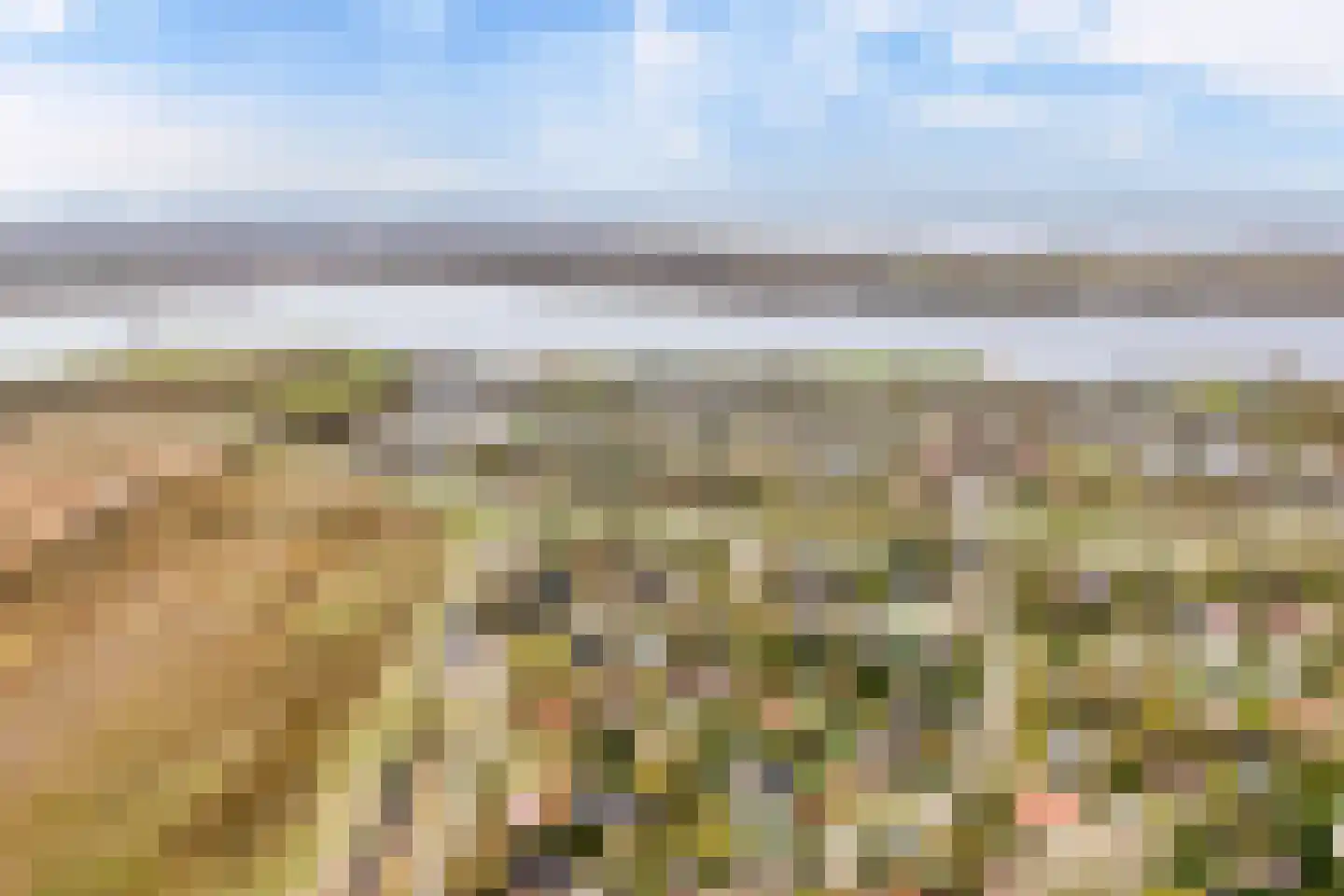 Robbenoort 24 Lauwersoog thumbnail 5