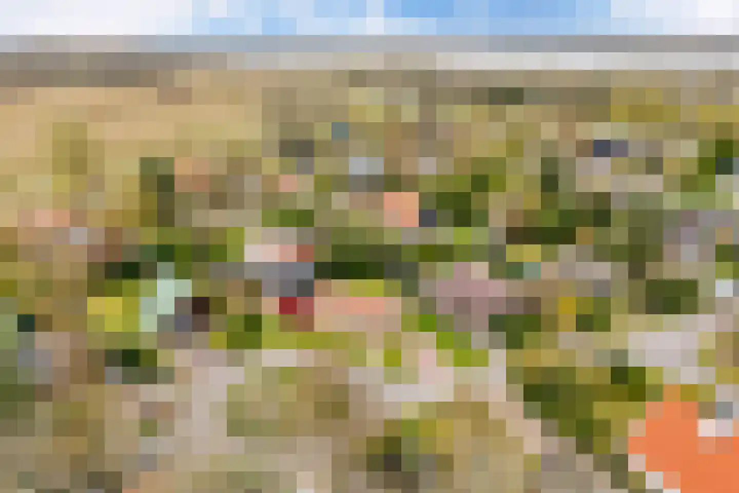 Robbenoort 24 Lauwersoog thumbnail 8