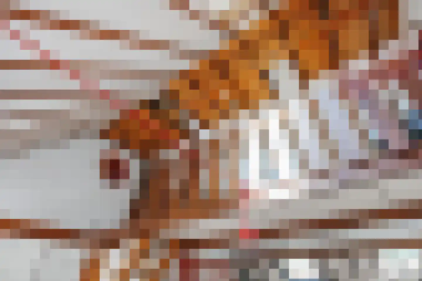 Robbenoort 53 Lauwersoog thumbnail 22