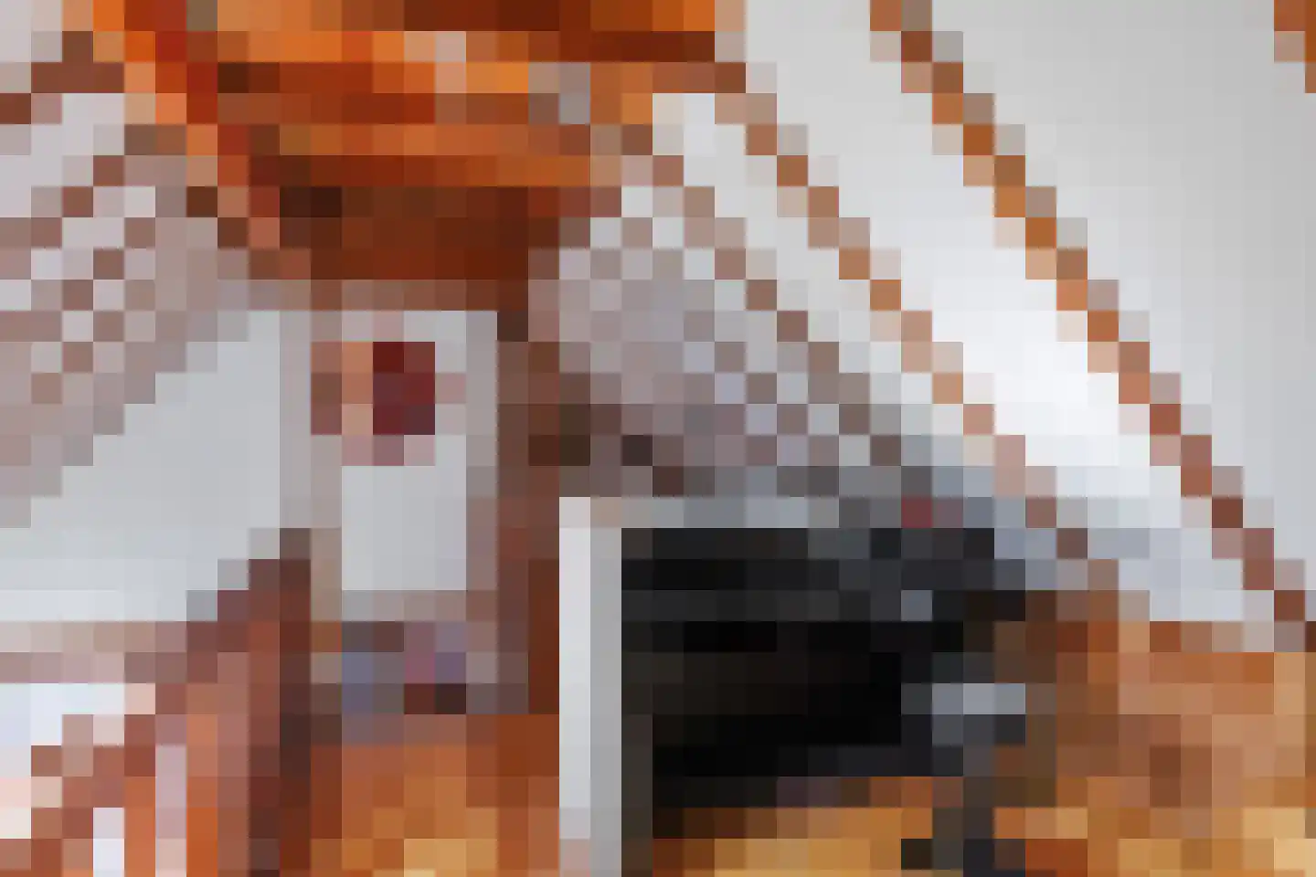 Robbenoort 53 Lauwersoog thumbnail 28