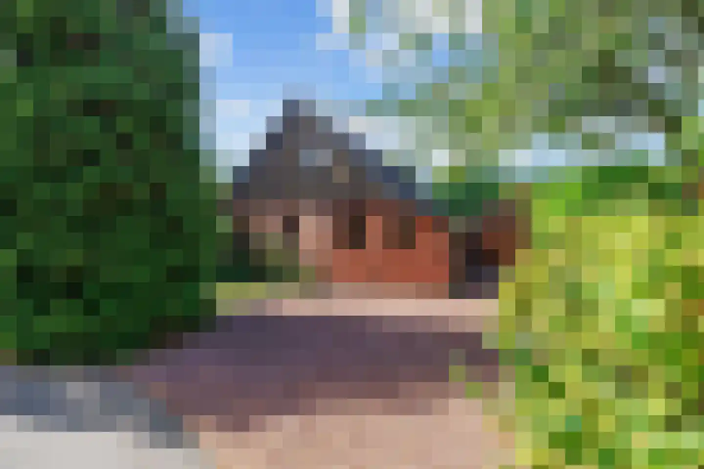 Robbenoort 53 Lauwersoog foto 3