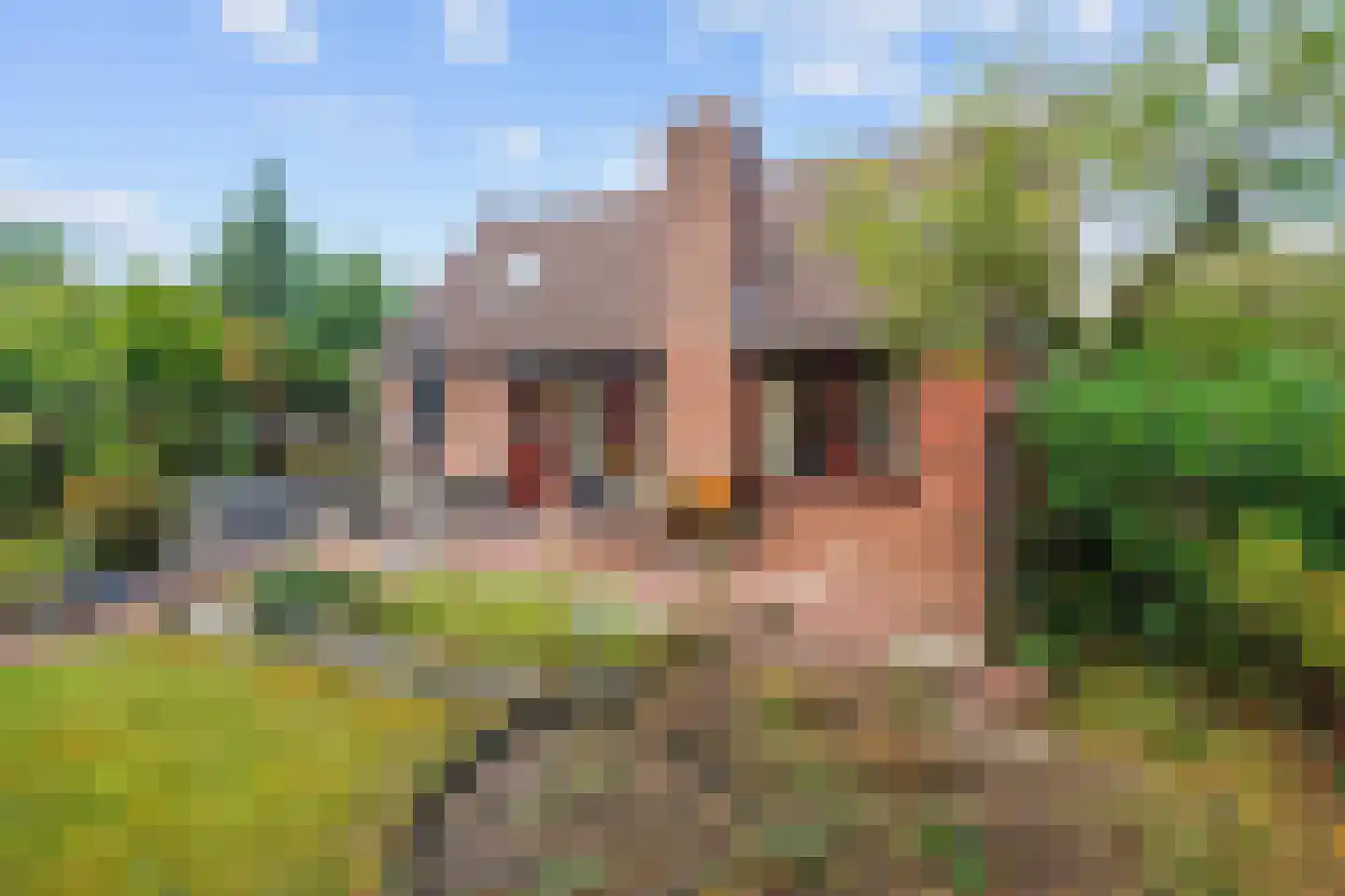 Robbenoort 53 Lauwersoog thumbnail 37