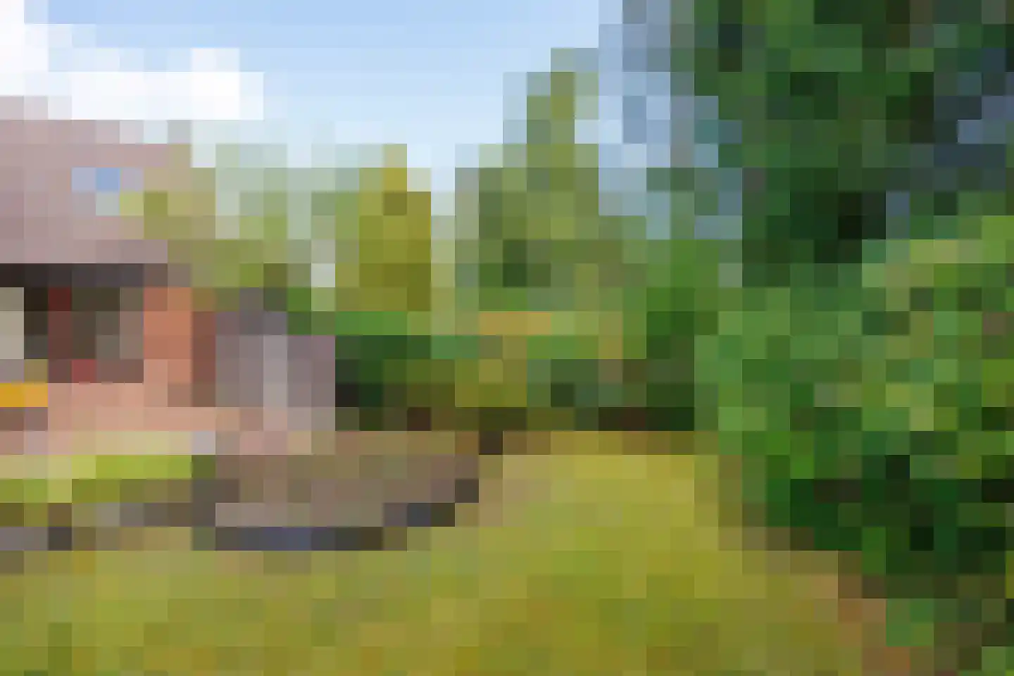 Robbenoort 53 Lauwersoog thumbnail 38