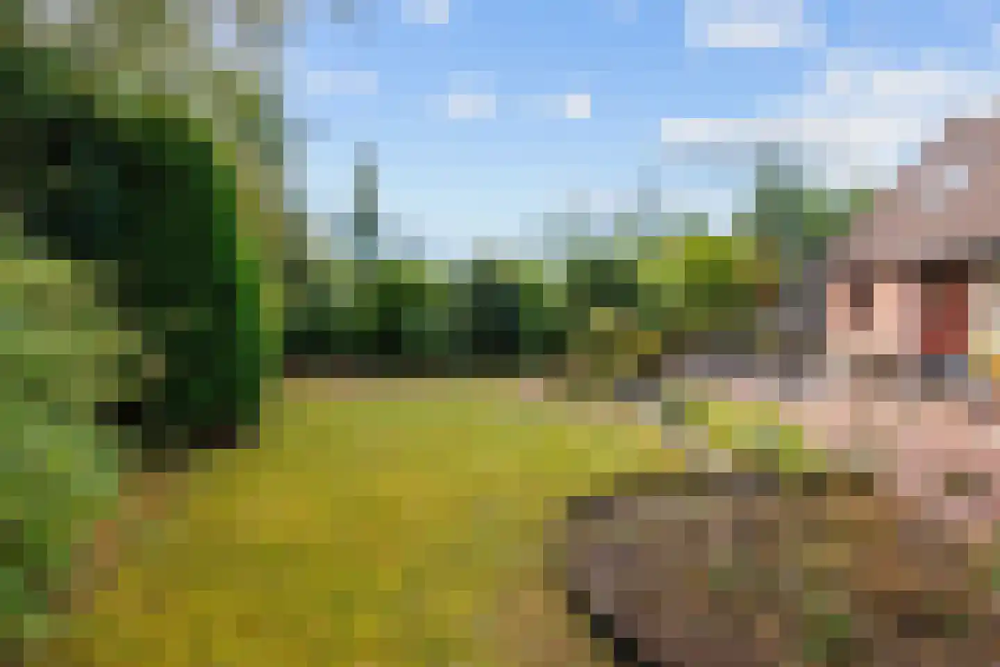 Robbenoort 53 Lauwersoog thumbnail 39
