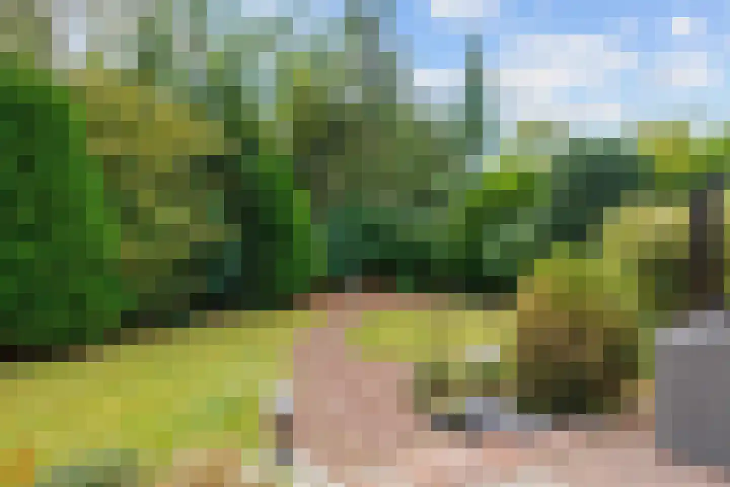 Robbenoort 53 Lauwersoog thumbnail 44
