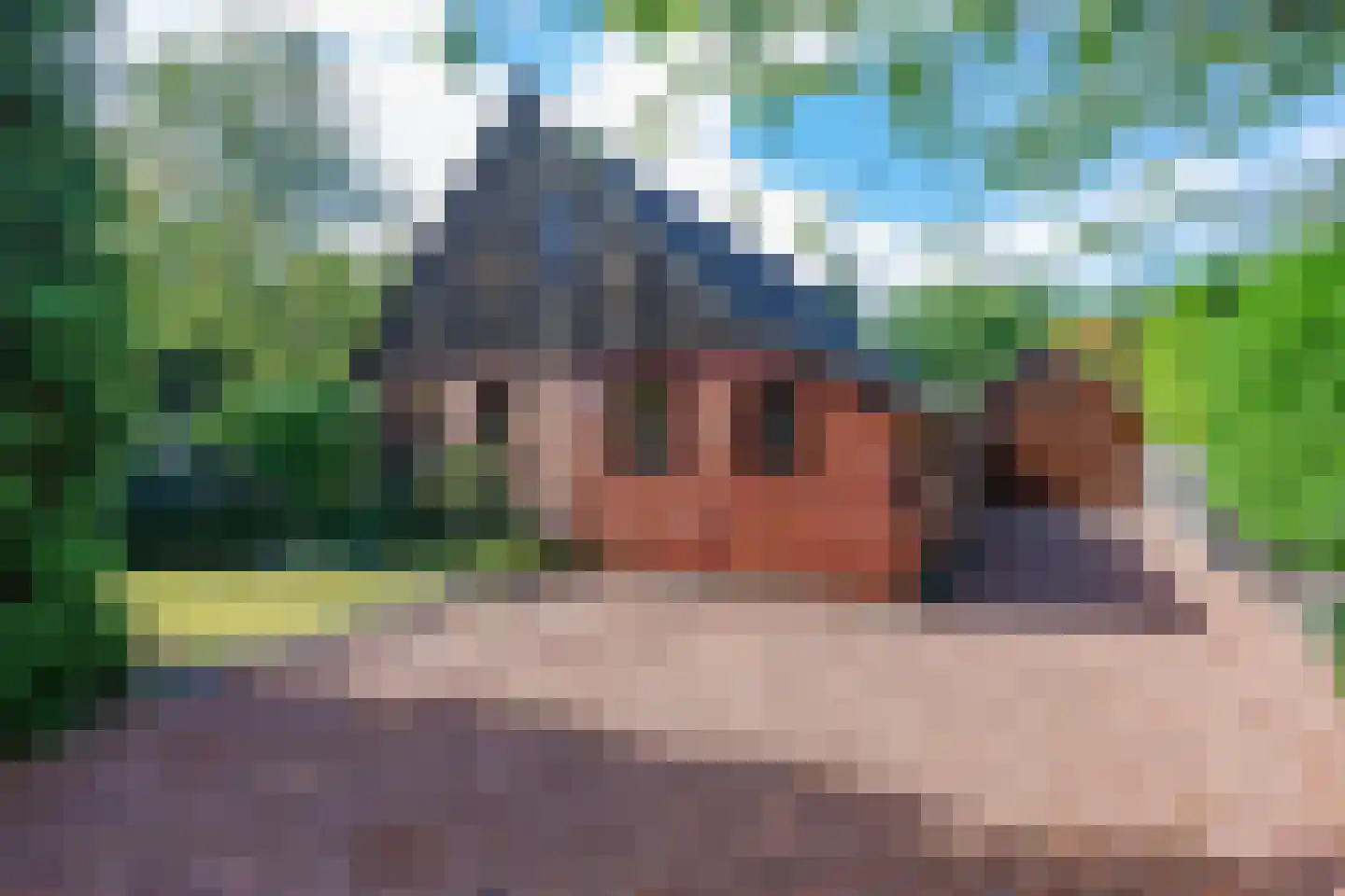 Robbenoort 53 Lauwersoog thumbnail 47