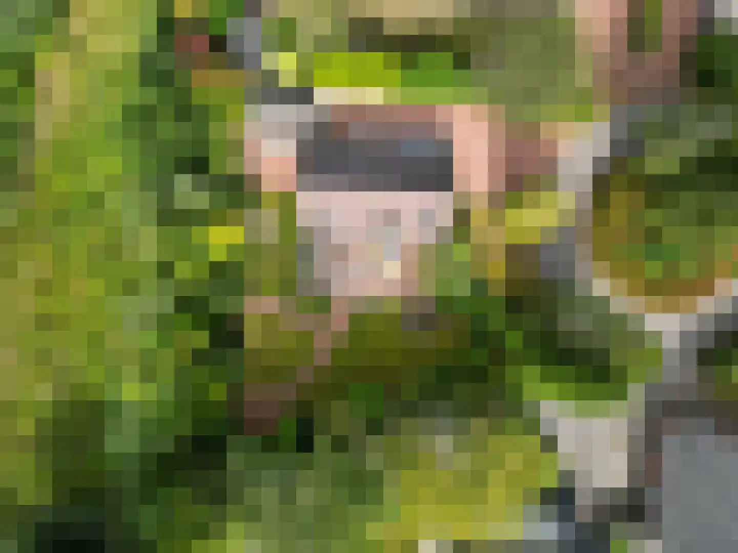 Robbenoort 53 Lauwersoog thumbnail 48