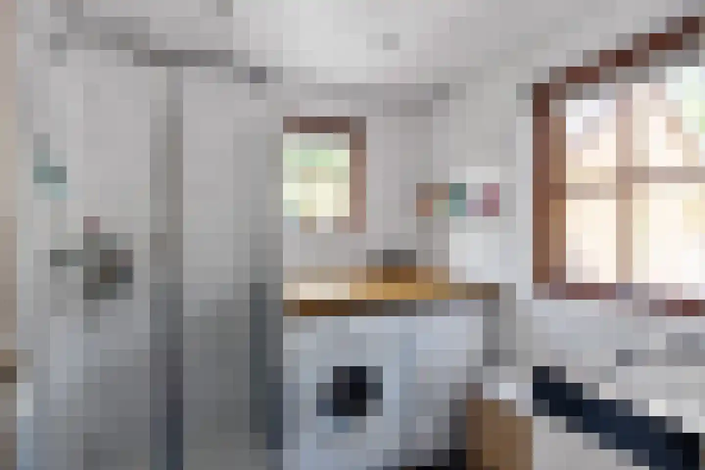 Robbenoort 53 Lauwersoog thumbnail 7