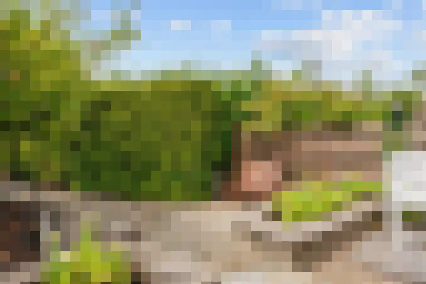 Robbenoort 62 Lauwersoog thumbnail 10
