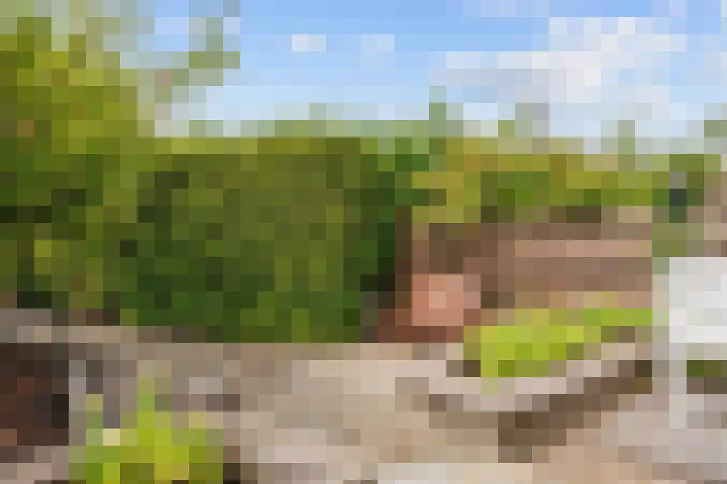 Robbenoort 62 Lauwersoog thumbnail 10