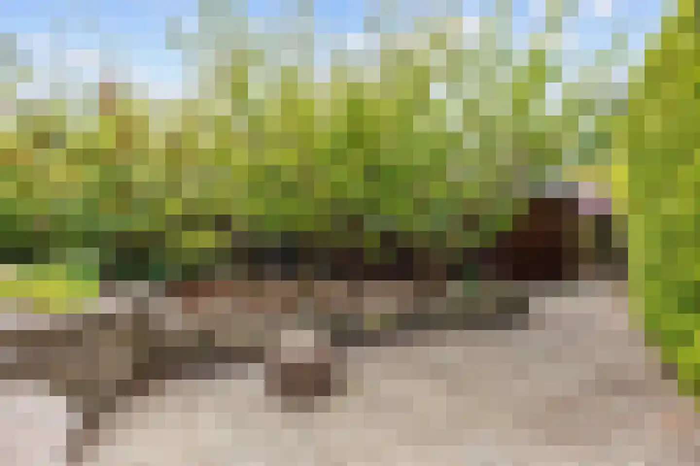 Robbenoort 62 Lauwersoog thumbnail 11