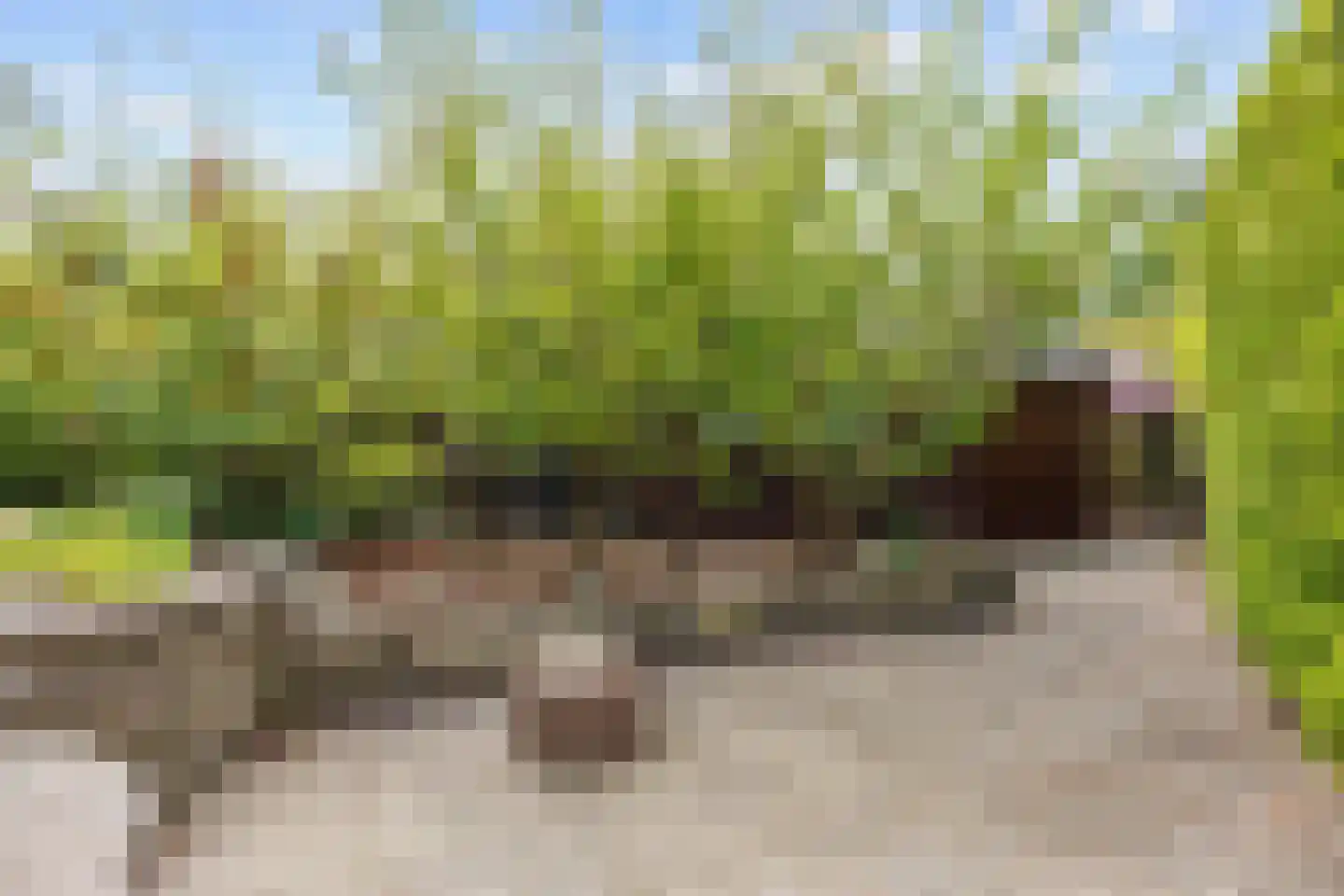 Robbenoort 62 Lauwersoog thumbnail 11