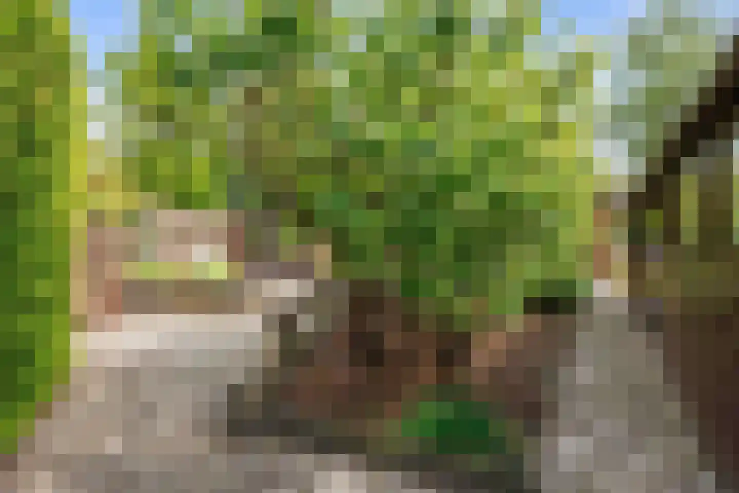 Robbenoort 62 Lauwersoog thumbnail 12
