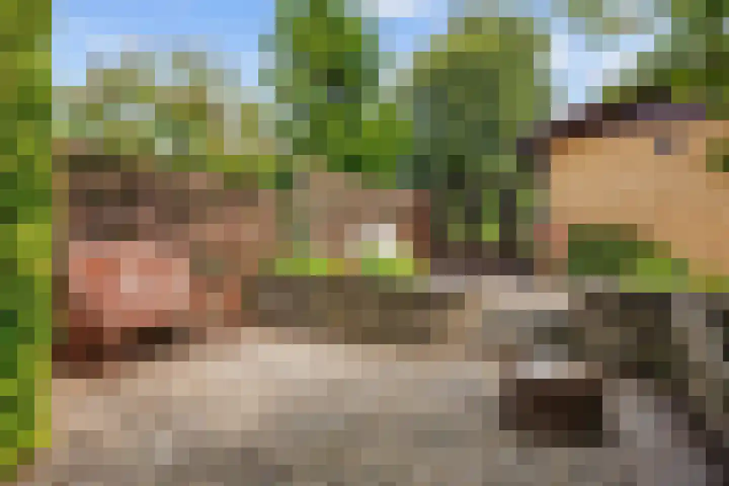 Robbenoort 62 Lauwersoog thumbnail 13