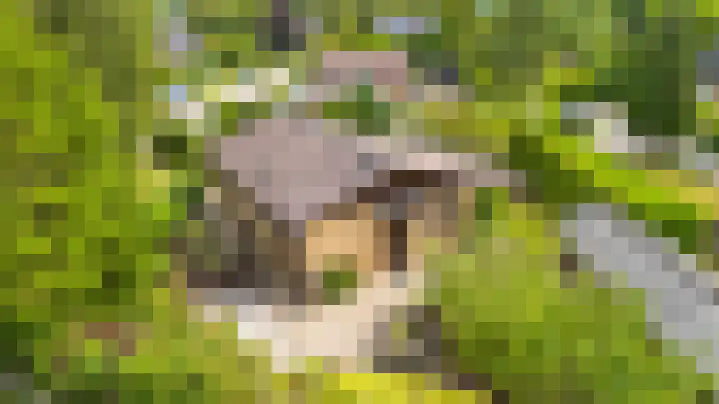 Robbenoort 62 Lauwersoog thumbnail 15