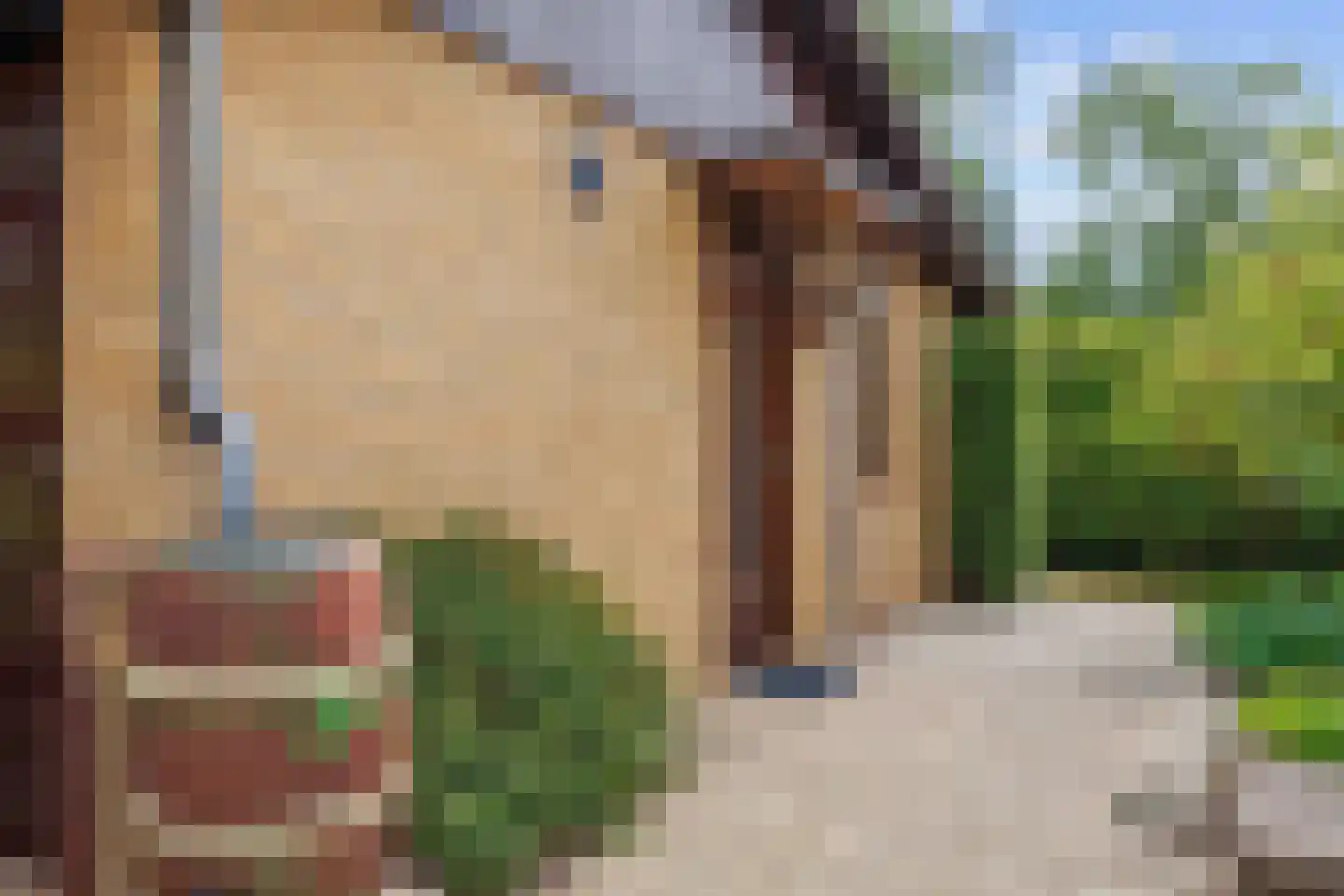 Robbenoort 62 Lauwersoog thumbnail 16