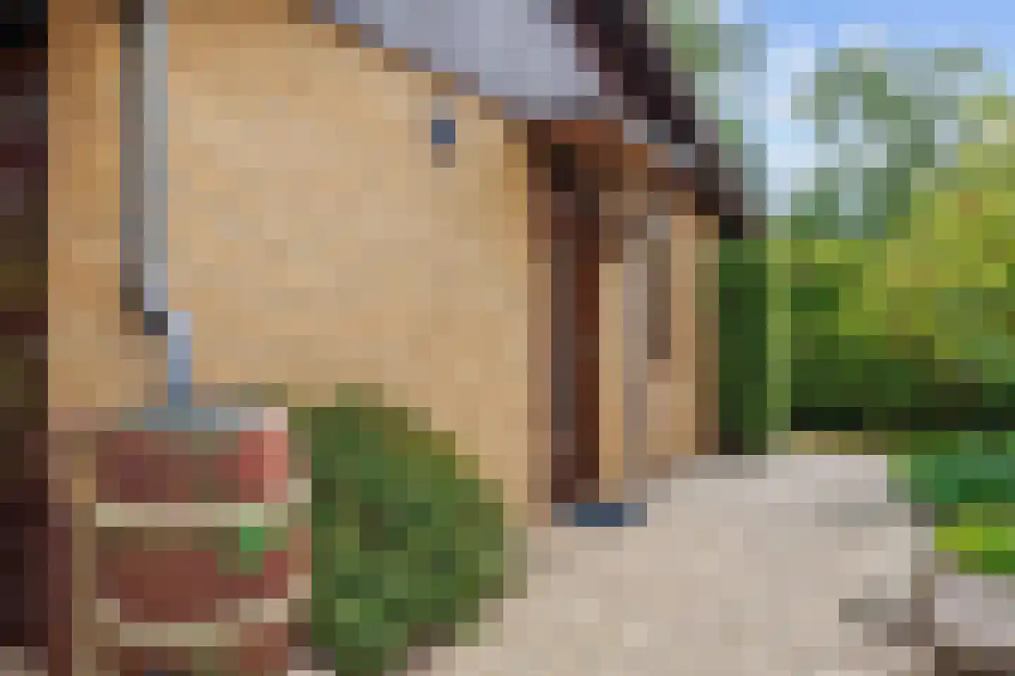 Robbenoort 62 Lauwersoog thumbnail 16