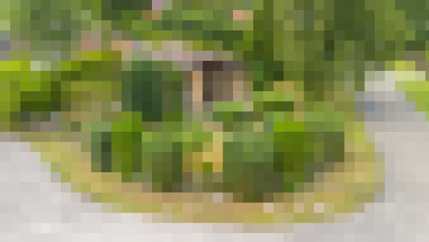 Robbenoort 62 Lauwersoog thumbnail 27