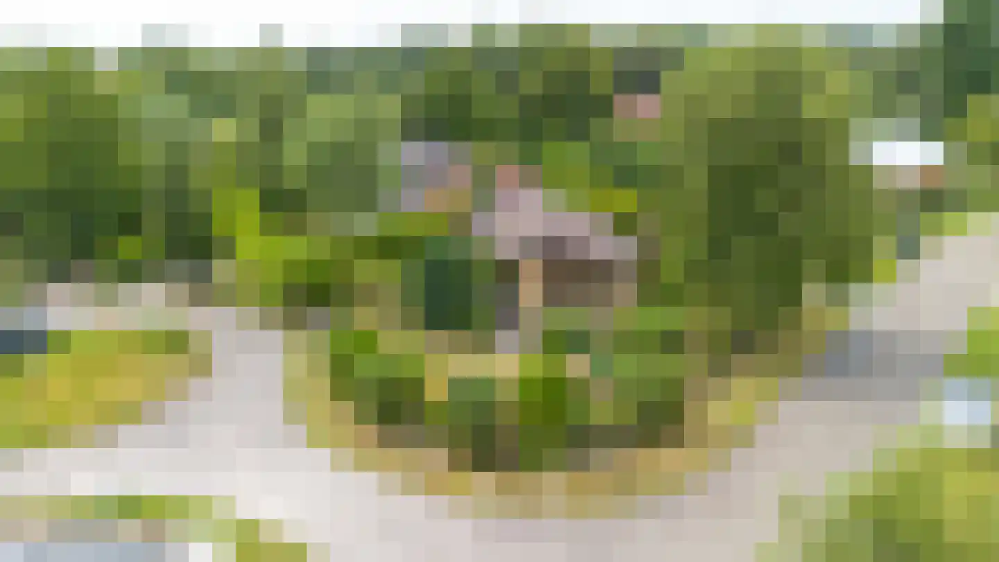 Robbenoort 62 Lauwersoog thumbnail 29