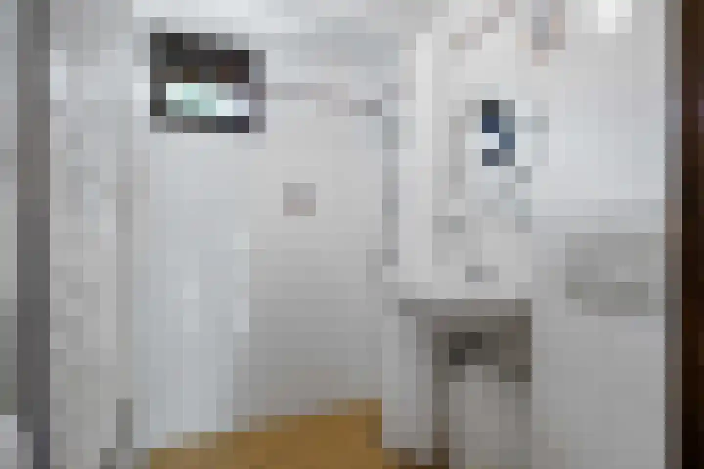 Robbenoort 62 Lauwersoog foto 3
