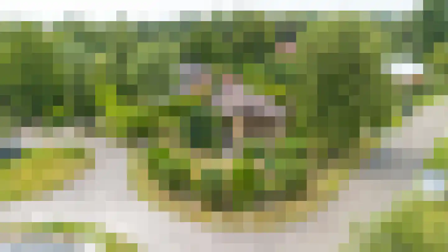 Robbenoort 62 Lauwersoog thumbnail 30