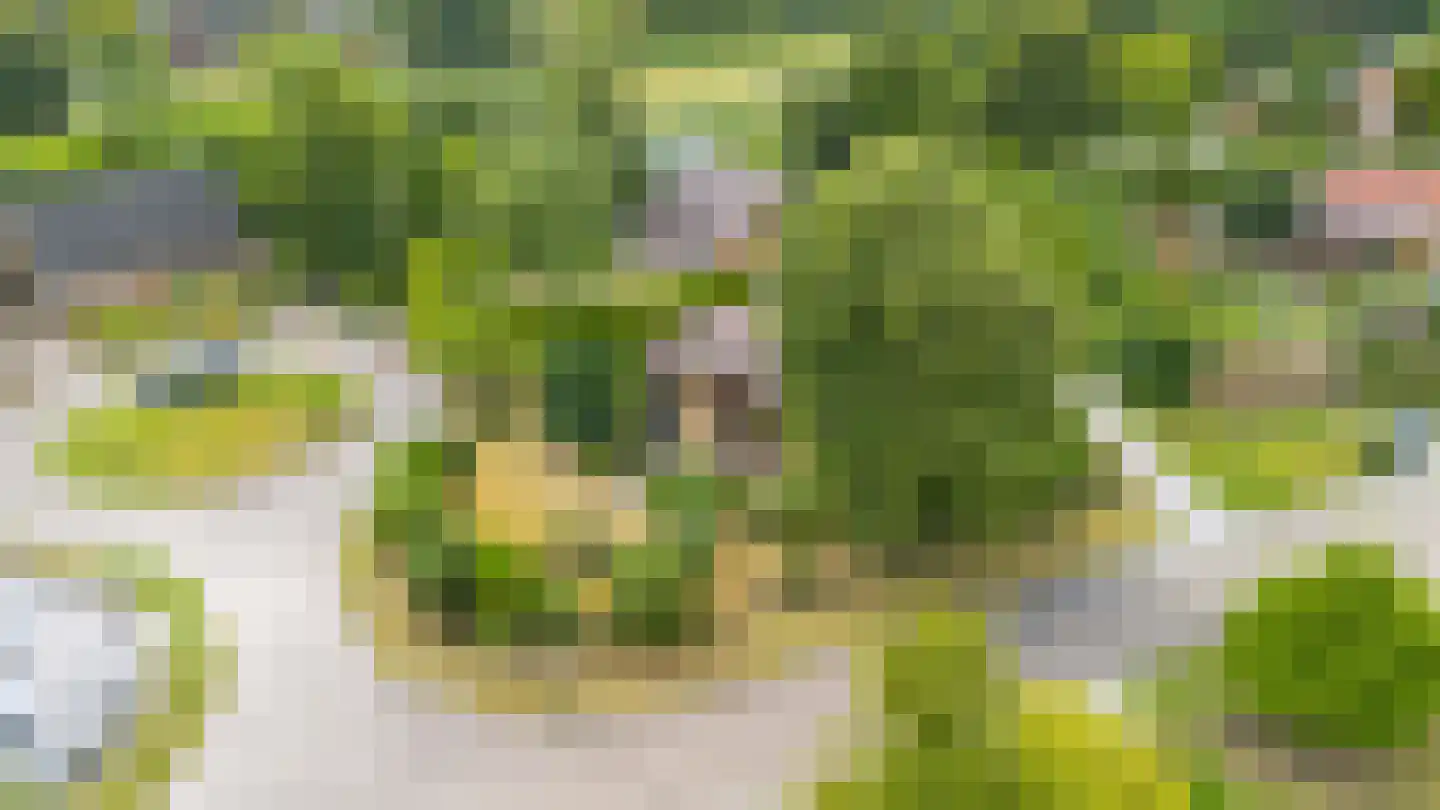 Robbenoort 62 Lauwersoog thumbnail 31