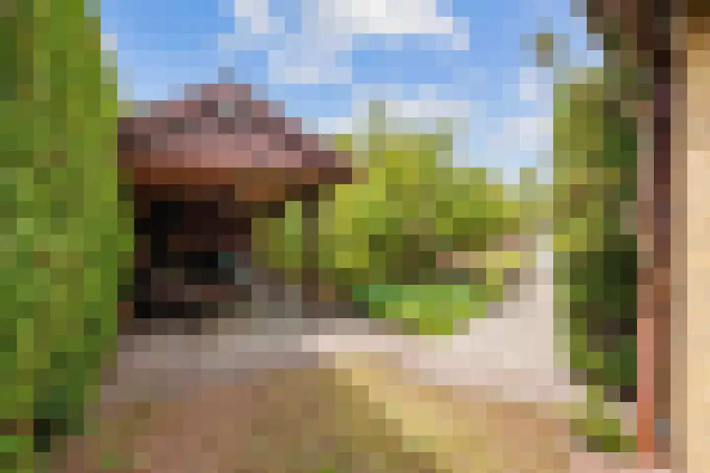 Robbenoort 62 Lauwersoog thumbnail 7
