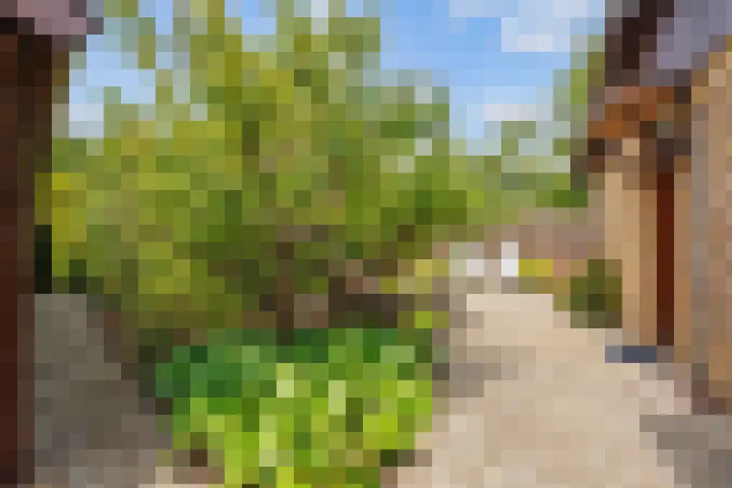 Robbenoort 62 Lauwersoog thumbnail 8