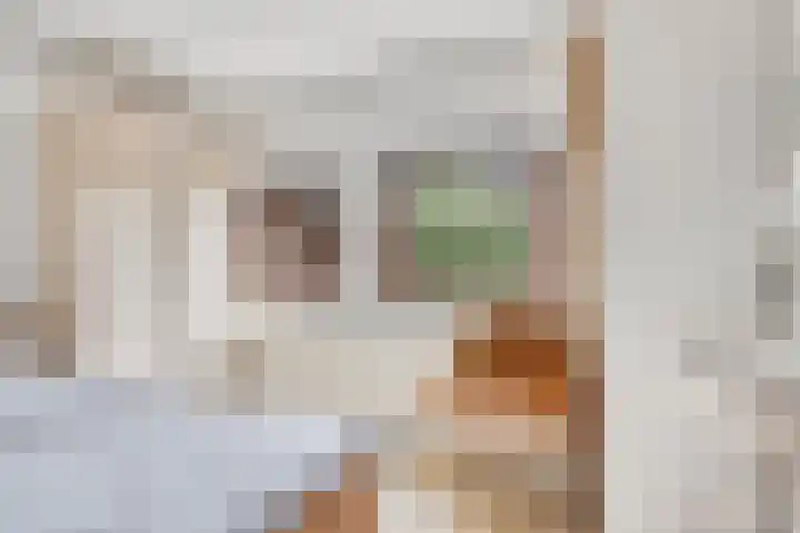 Robbenoort 70 Lauwersoog thumbnail 10