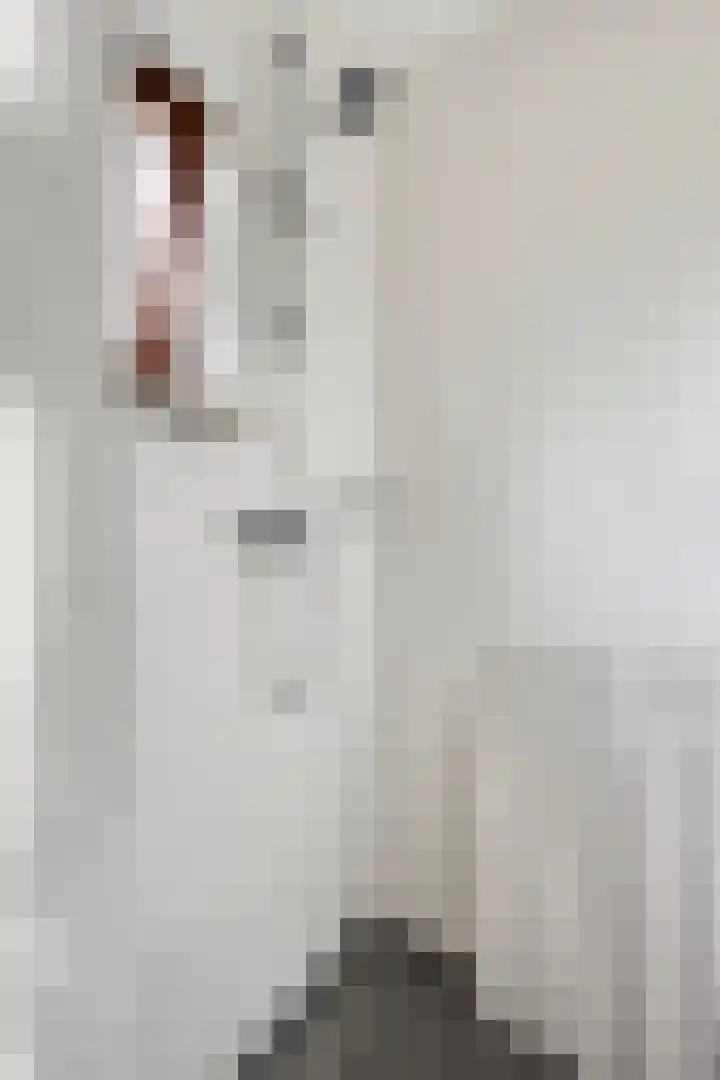 Robbenoort 70 Lauwersoog thumbnail 12