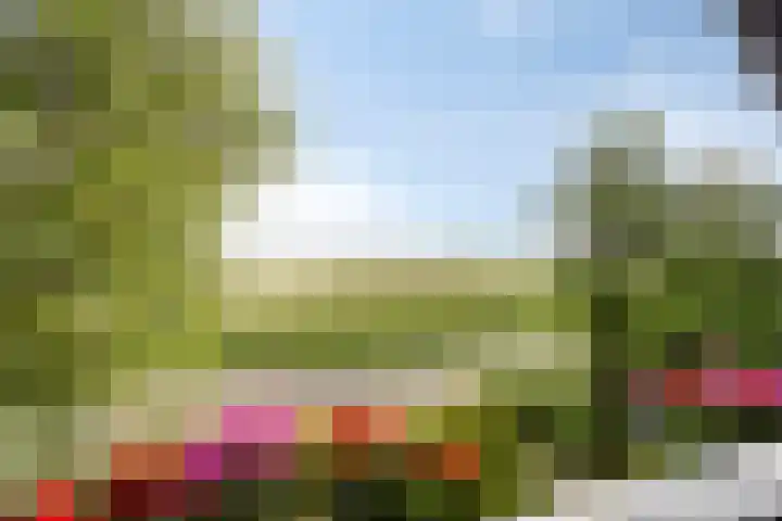 Robbenoort 70 Lauwersoog thumbnail 17