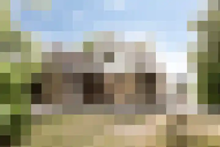 Robbenoort 70 Lauwersoog thumbnail 18