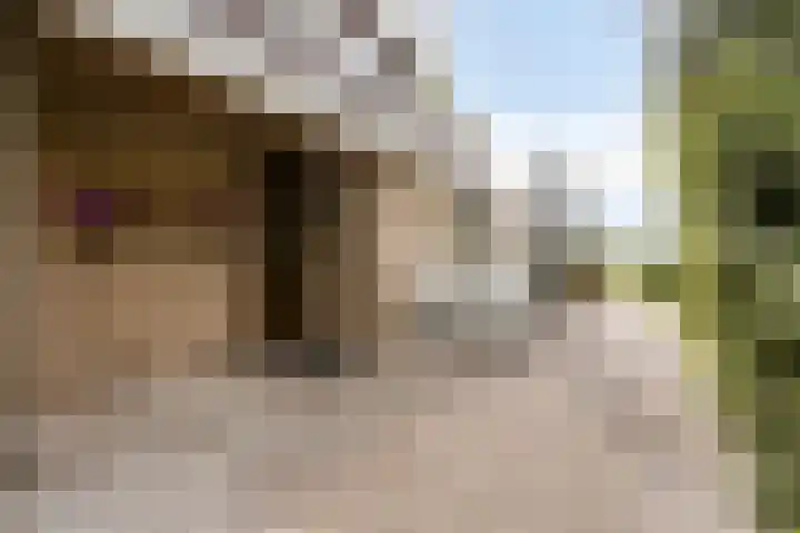 Robbenoort 70 Lauwersoog thumbnail 19
