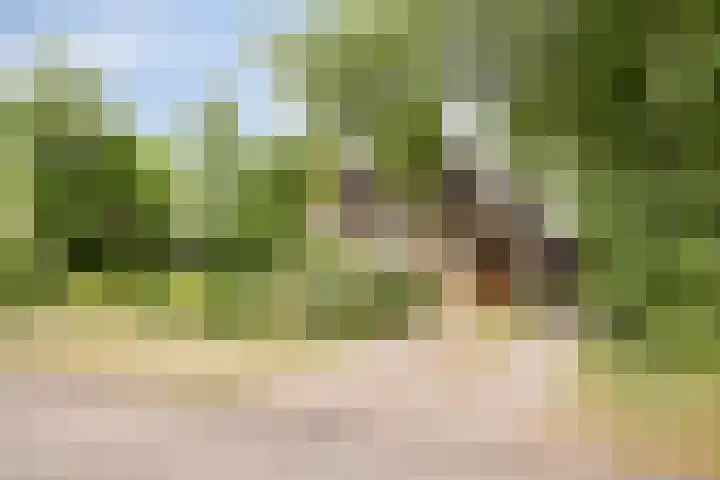 Robbenoort 70 Lauwersoog foto 2