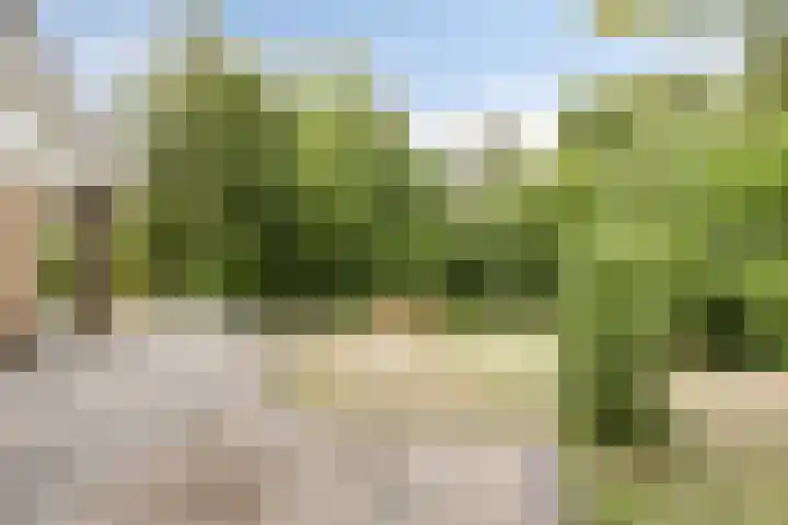 Robbenoort 70 Lauwersoog thumbnail 20