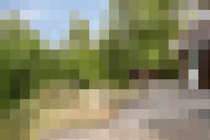 Robbenoort 70 Lauwersoog thumbnail 21