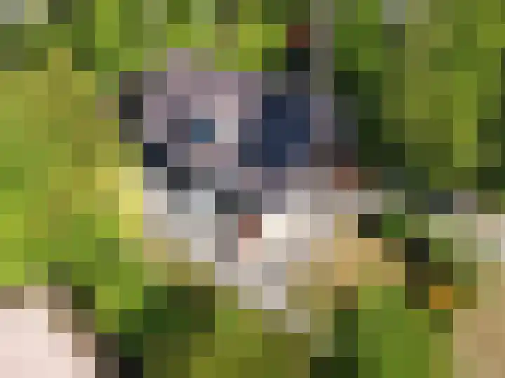 Robbenoort 70 Lauwersoog thumbnail 24