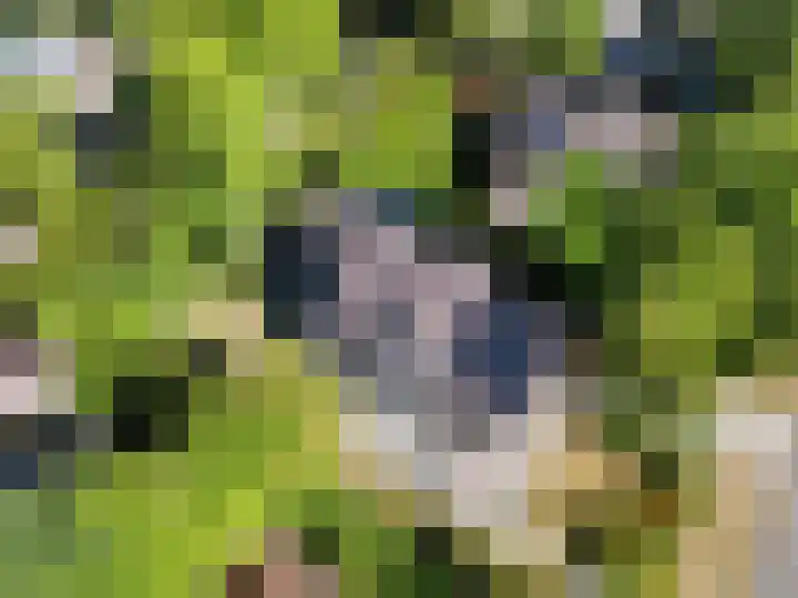Robbenoort 70 Lauwersoog thumbnail 25