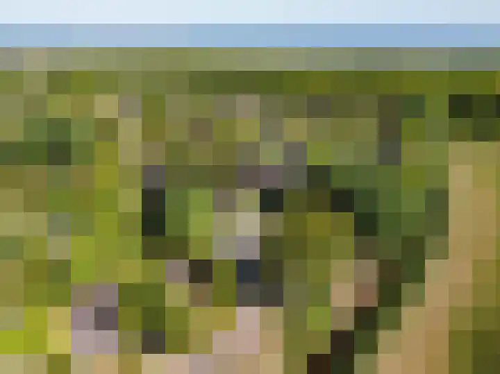 Robbenoort 70 Lauwersoog thumbnail 26