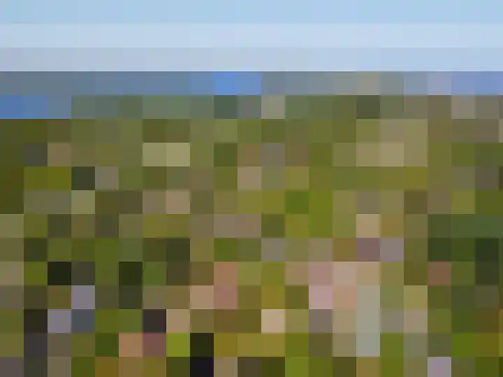 Robbenoort 70 Lauwersoog thumbnail 27