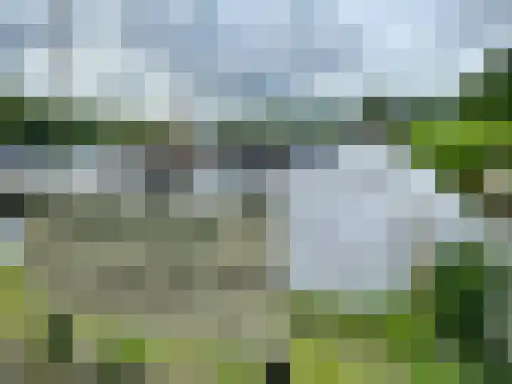 Robbenoort 70 Lauwersoog thumbnail 29
