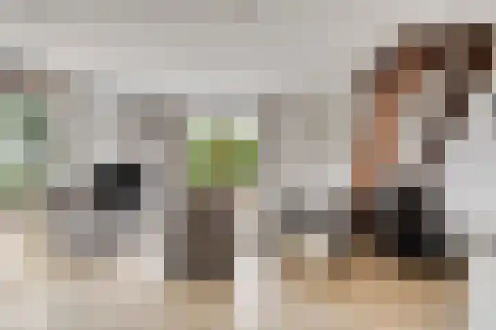 Robbenoort 70 Lauwersoog foto 3