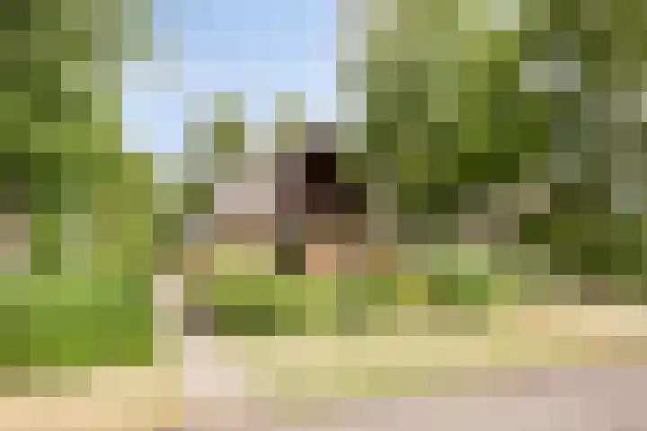 Robbenoort 70 Lauwersoog thumbnail 35