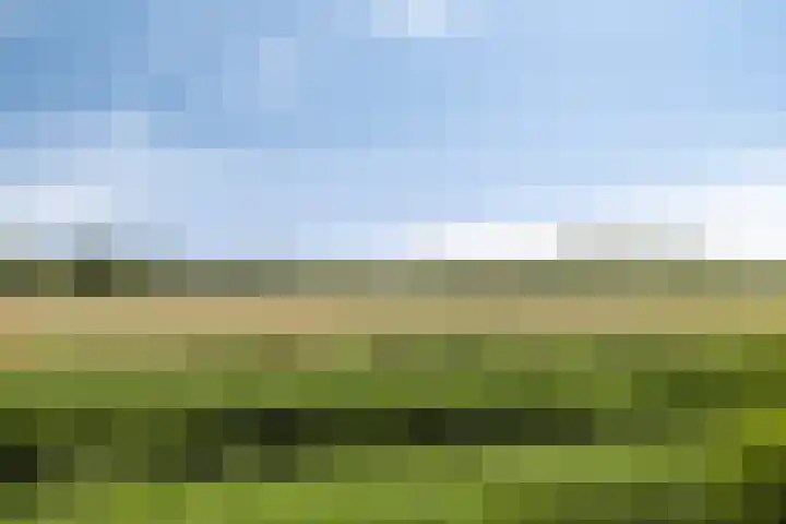 Robbenoort 70 Lauwersoog thumbnail 5